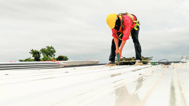 Roof Moss and Algae Removal in Shenorock, NY